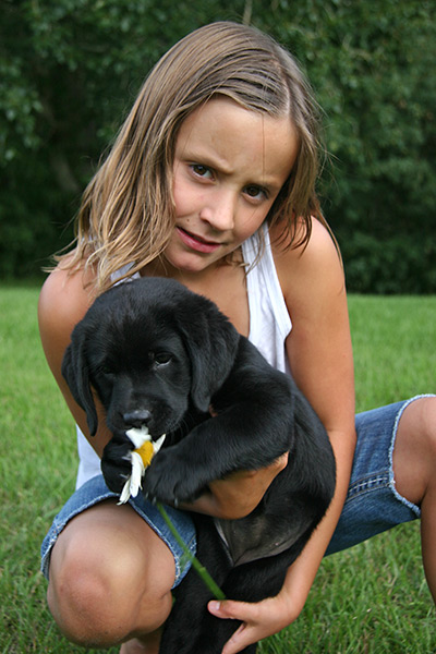 and the name Emily suggested for their <br />new puppy, was "Daisy"...