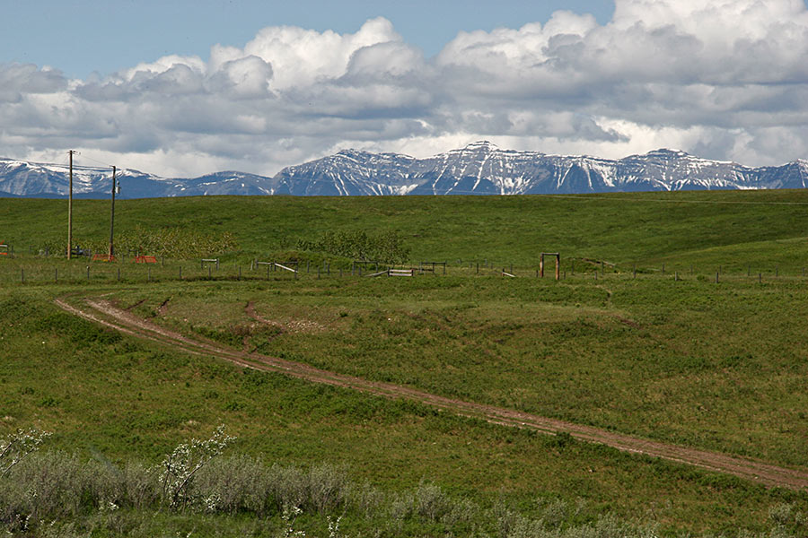 to the last snows of winter.