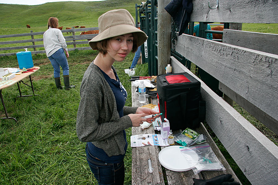 Sarah getting shots ready...