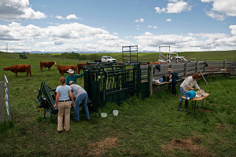 near the end of a long day...