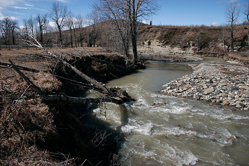 a year after the flood...