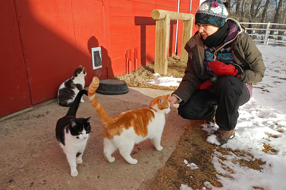 Mary-Ann, Bubba, Bella and Rose...