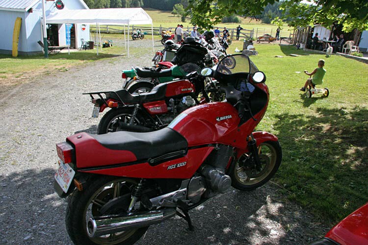 Wolfgang's gr-son Cameron inspecting the lineup.