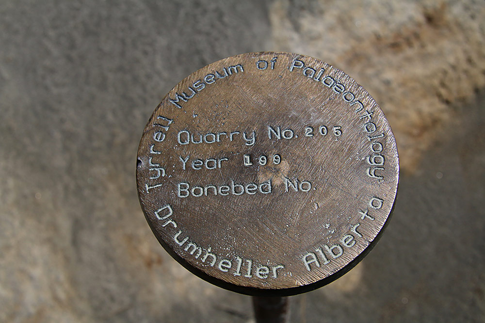 bonebed marker...