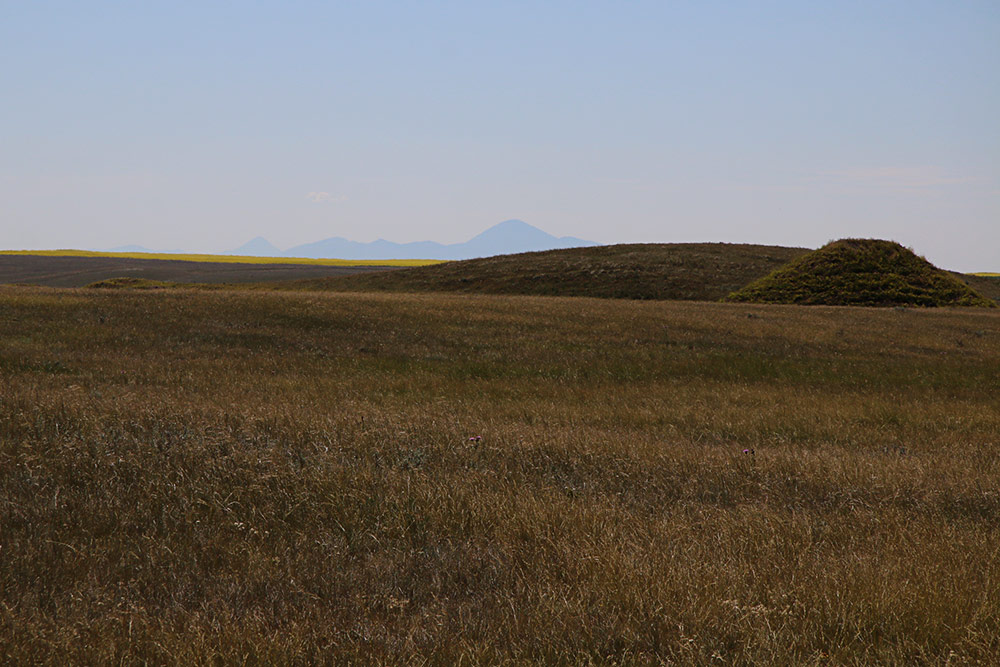 Sweetgrass Hills...