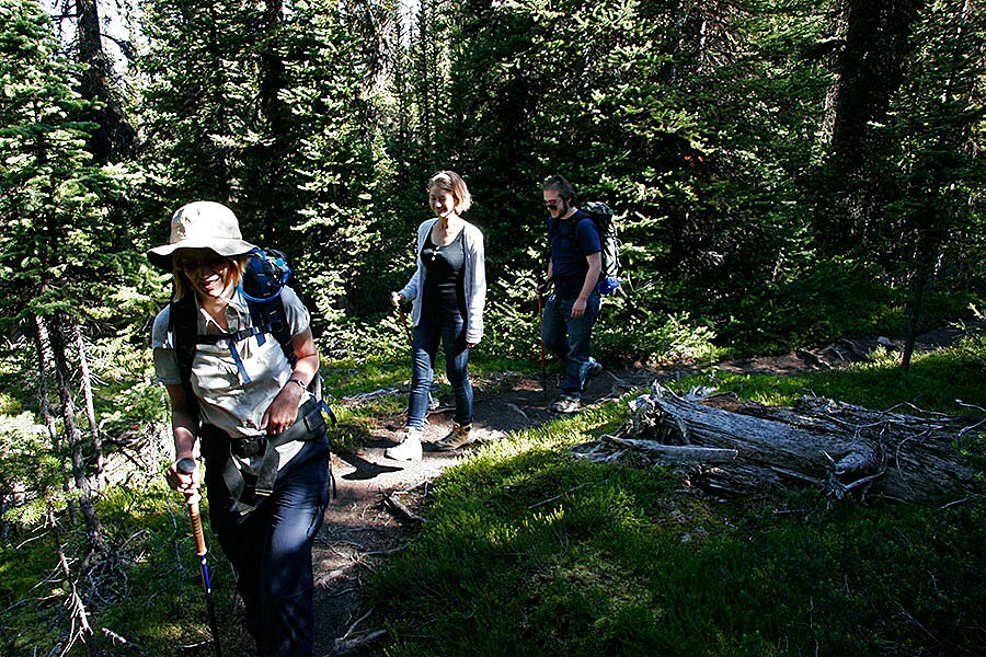 The trail to Merlin Lake...