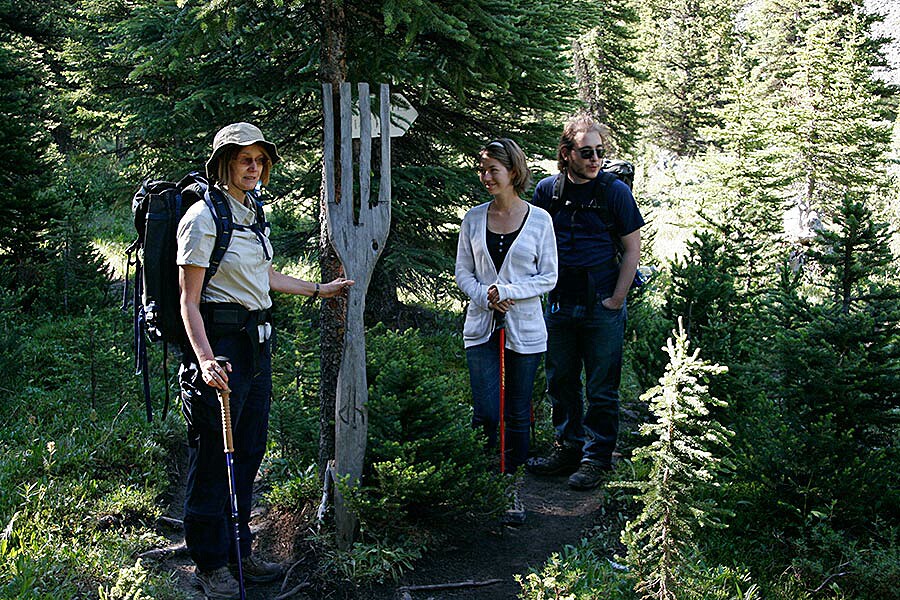 the fork in the trail...