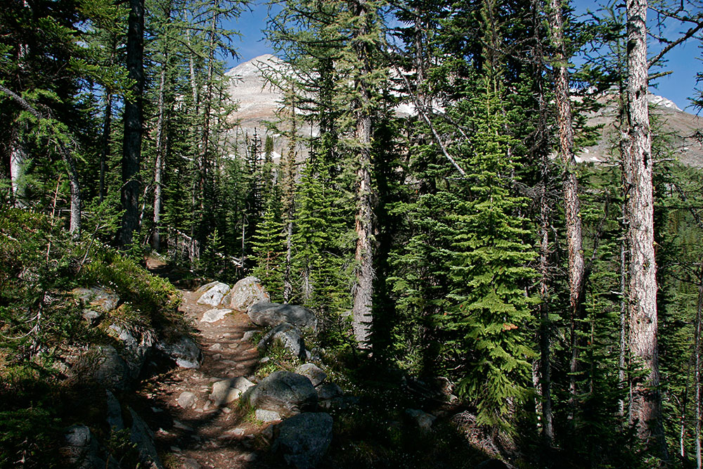 trail to the Odaray plateau...