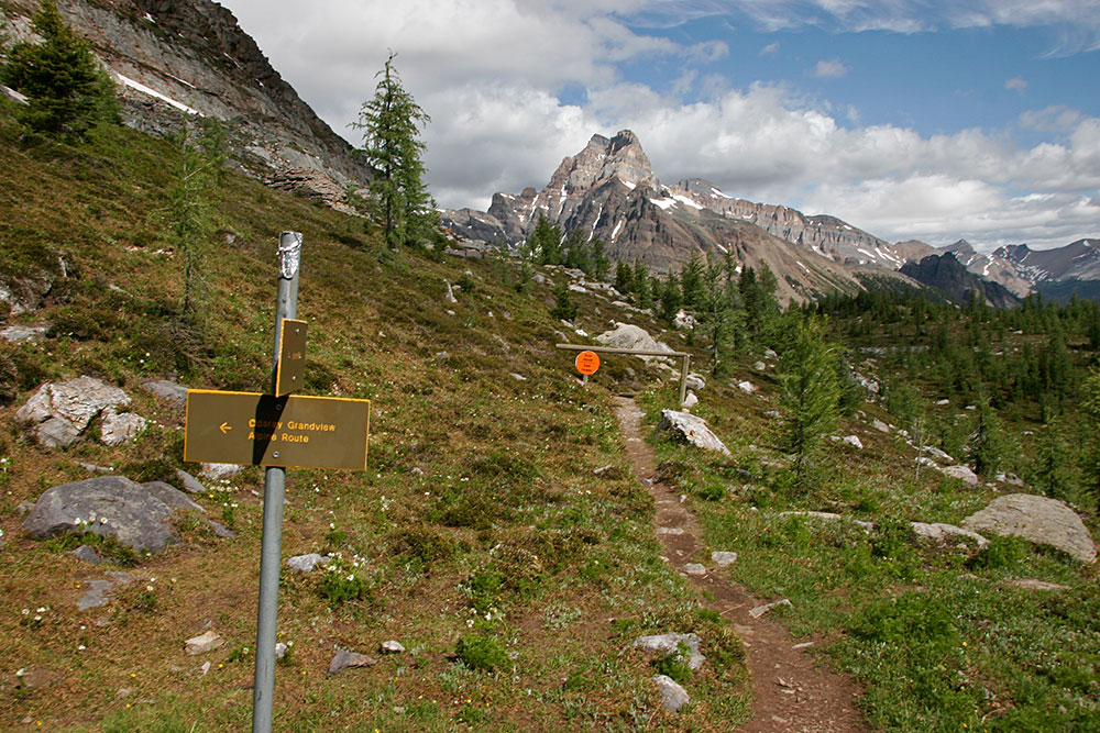the Odaray traverse was closed for <br />Grizzily bear habitat, we turned left...
