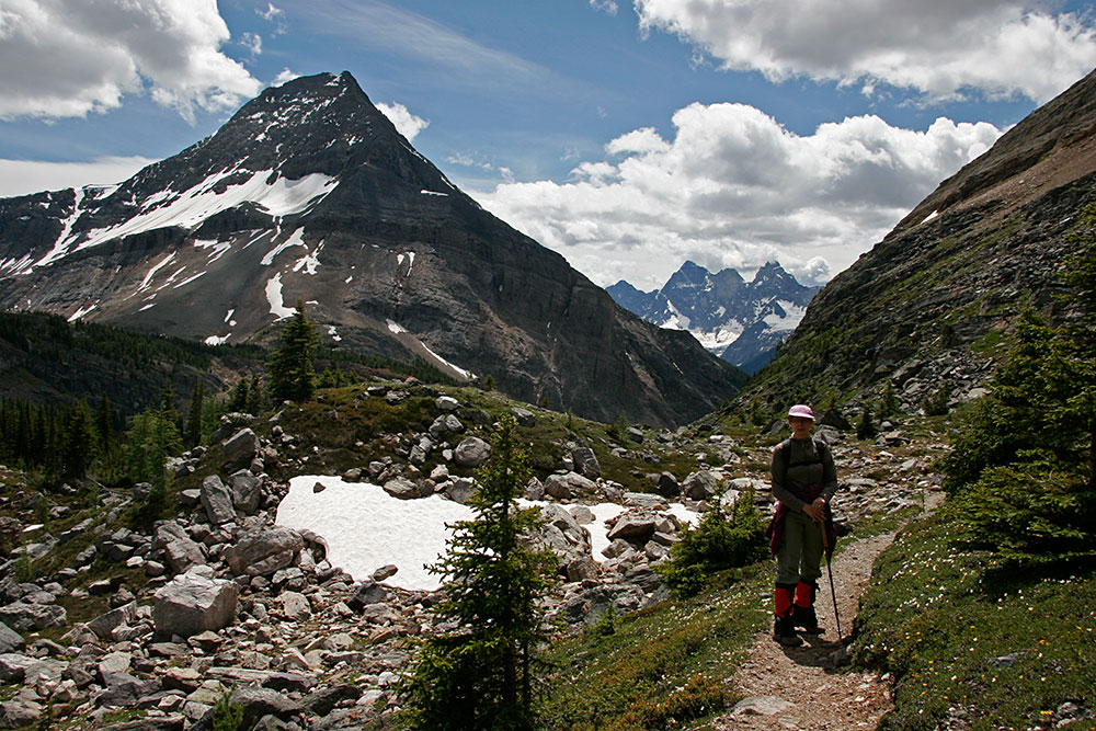 return trail, Mt.Goodsir in the background...