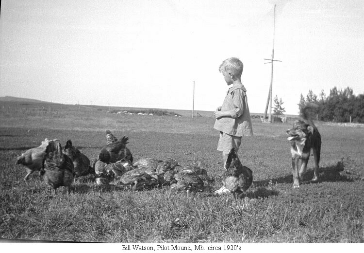 Bill Watson, Pilot Mound, Mb. circa 1920's