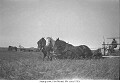 Haying crew, Pilot Mound, Mb. circa 1920's