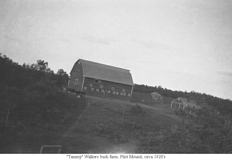 "Tammy" Walkers bush farm. Pilot Mound, circa 1920's