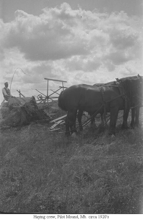 Haying crew, Pilot Mound, Mb. circa 1920's