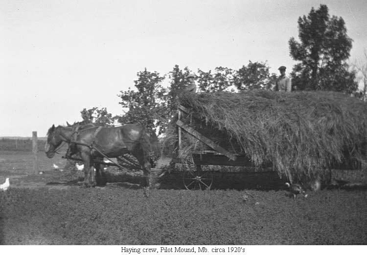 Haying crew, Pilot Mound, Mb. circa 1920's