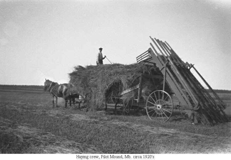 Haying crew, Pilot Mound, Mb. circa 1920's