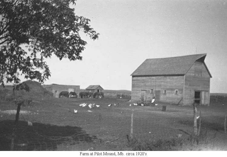 Farm at Pilot Mound, Mb. circa 1920's
