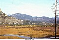 Road trip, Fall 1954