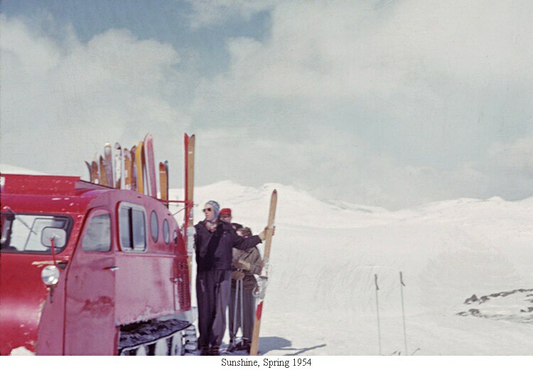 Sunshine, Spring 1954