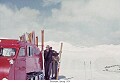 Sunshine, Spring 1954