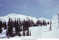 Mt. Brewster, Sunshine, Spring 1954