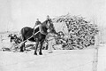 Loading cordwood, possibly Thomas and John Walker, circa 1935
