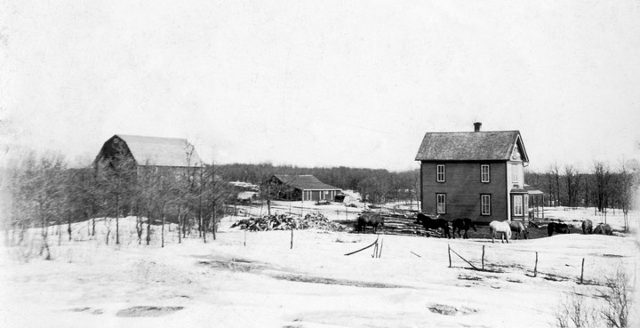 Early photo of "The Bush", near Pilot Mound, Manitoba, taken before the <br />farm house was covered with insulated brick c.1930's