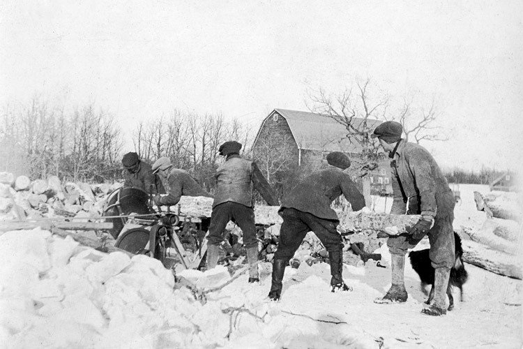 Thomas Pow Watson at the end of log, Thomas Watson Jr (son) in middle, <br />Thomas H.Walker is 2nd from saw. c.1935. This is probably the same <br />saw that took John Walker's life in 1937.