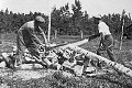 Cutting wood, c.1935