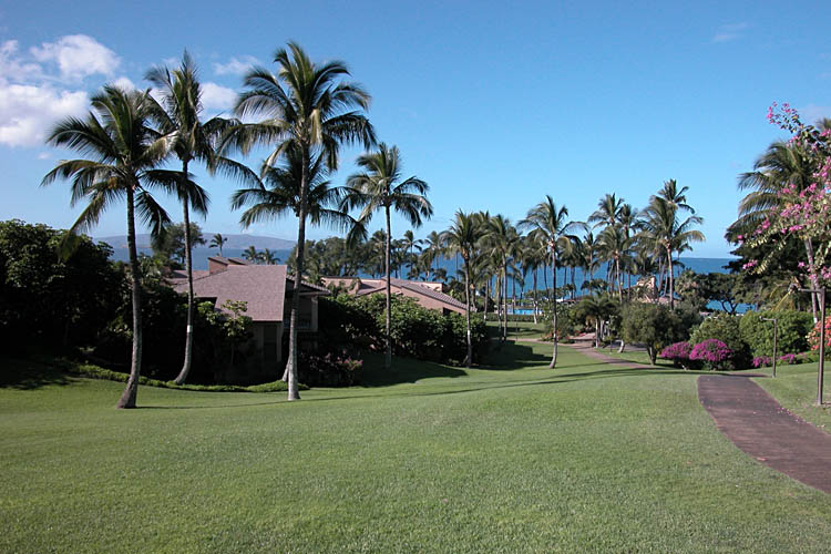 Morning in Maui...