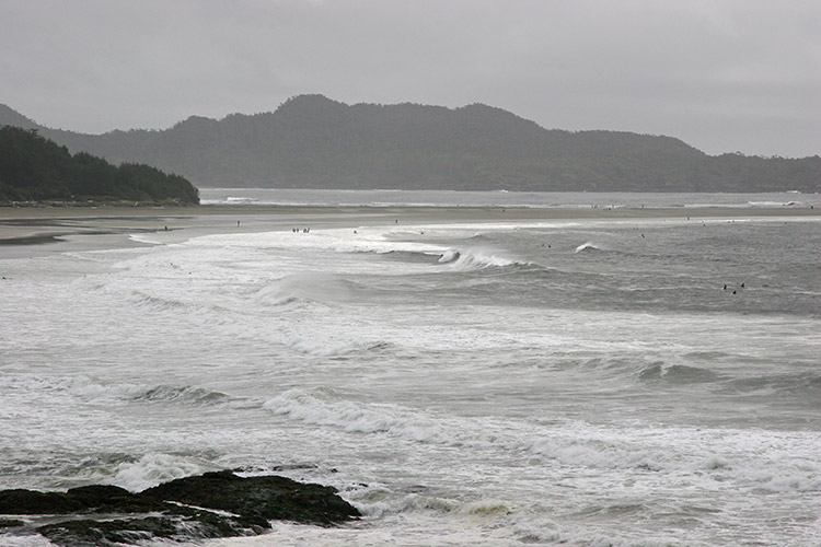 Surfers on Chesterman Beach...