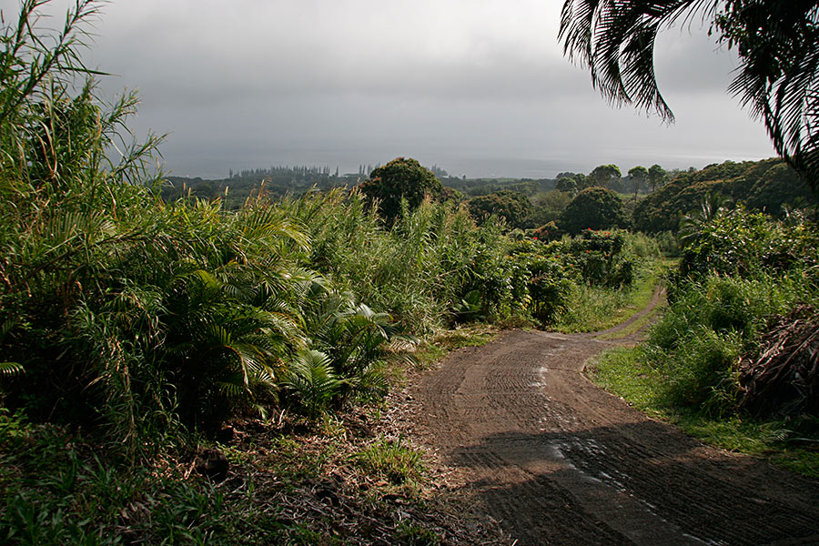 The steep hillside road to the Hana Sunrise House...
