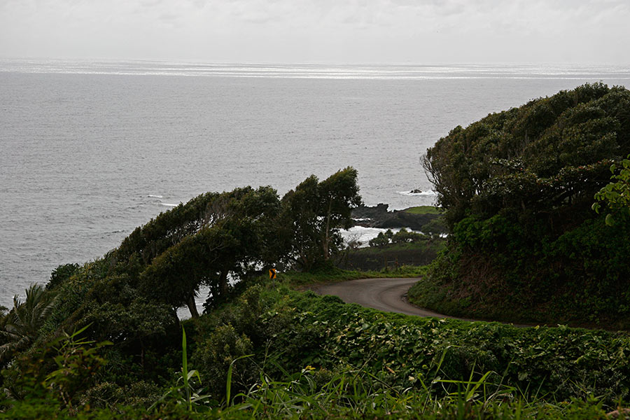 The road south of Hana...