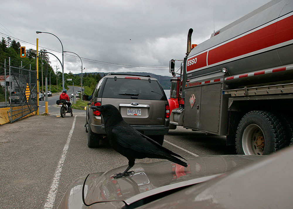 Waiting in line at the ferry terminal...