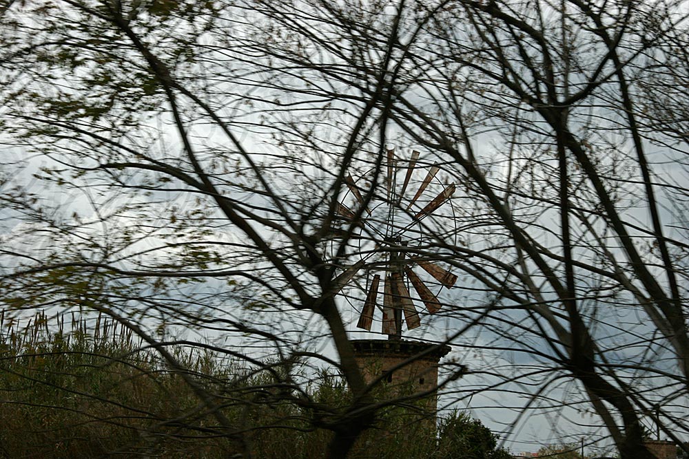 One of many windmills we passed <br />on the way to the airport...