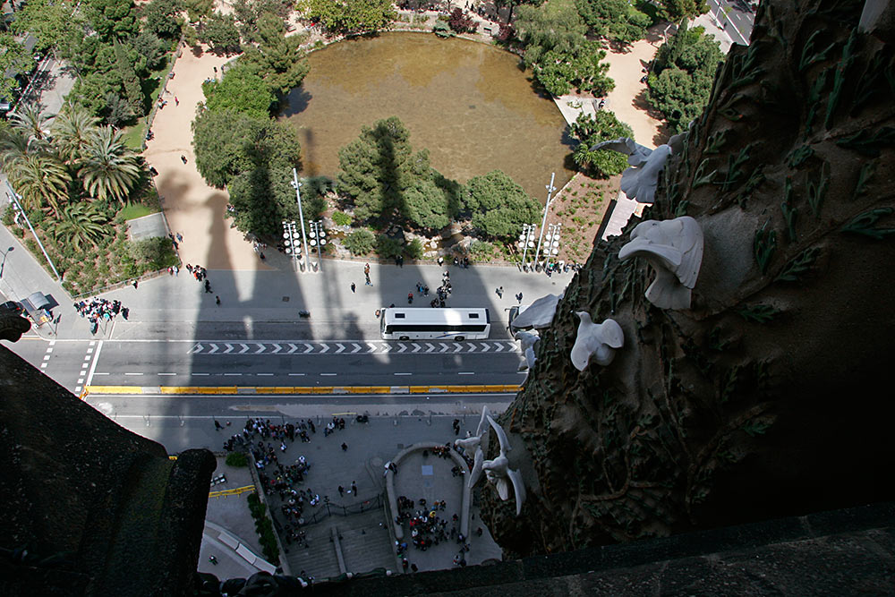 and leads to a narrow walkway <br />behind the Tree of Life...