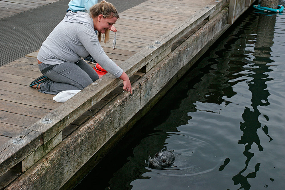a local merchants sells <br />fish just for them...