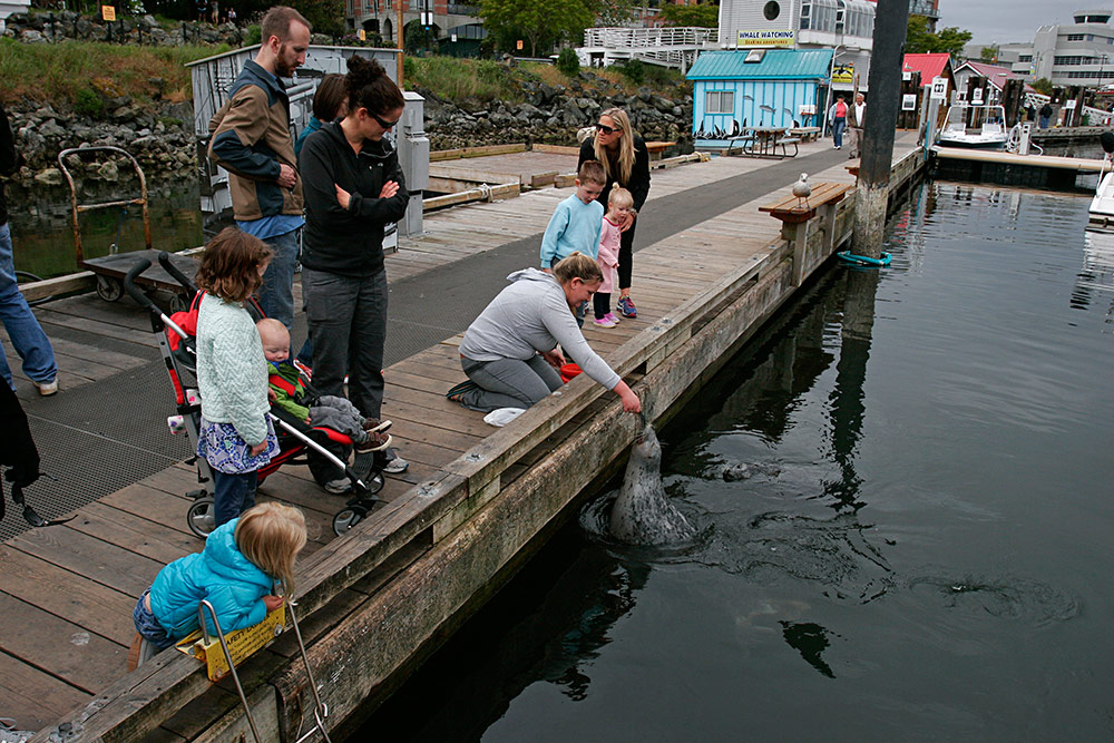 they can get a good meal here...