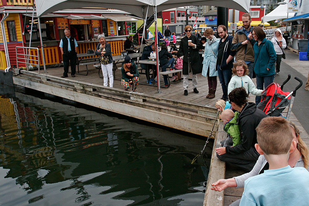 Fisherman's Wharf, Victoria B.C...
