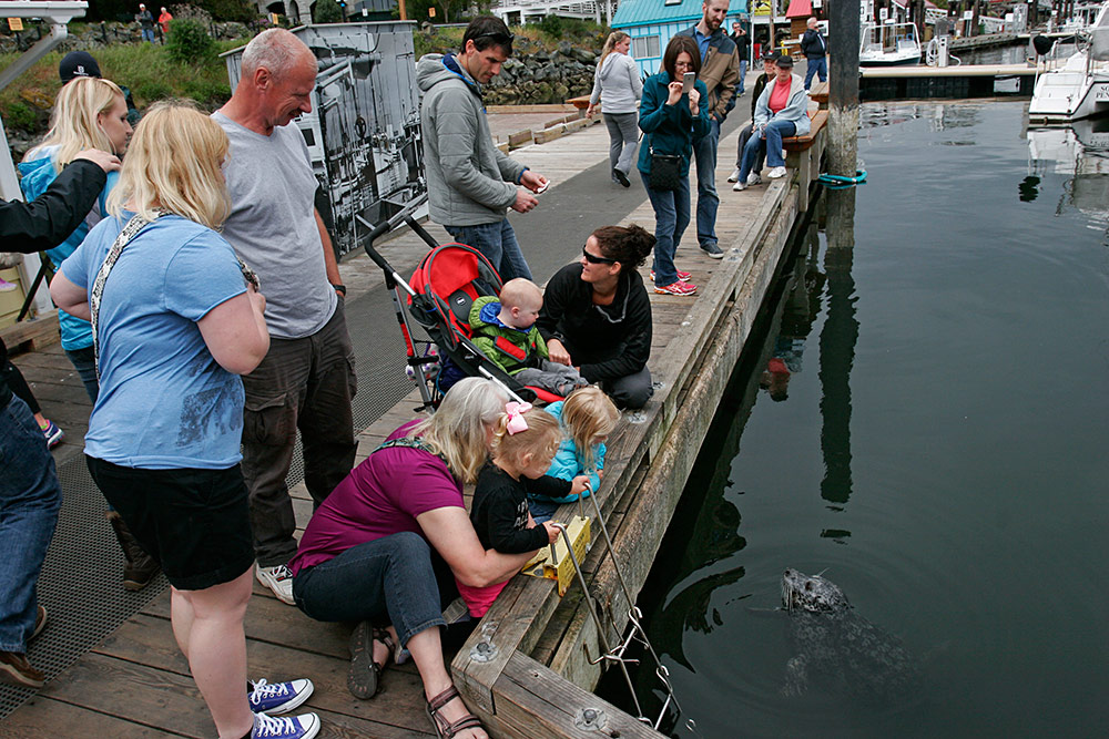 arrives for a visit...