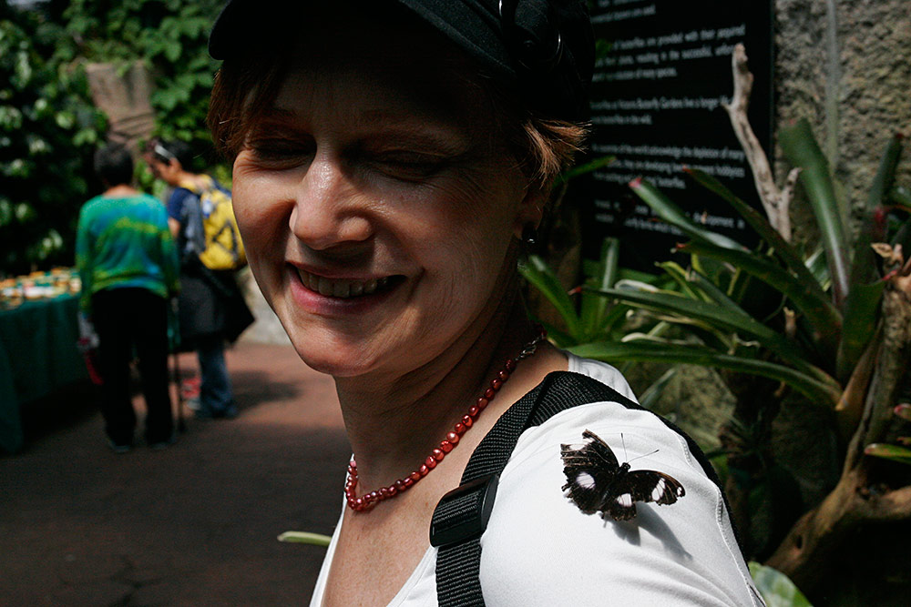 as soon as we entered, Mary-Ann was greeted by this little <br />fellow, a Hypolimnas bolina from the Philippines...