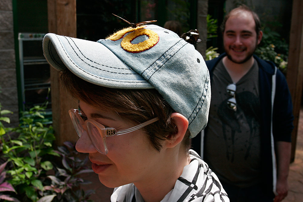 otherwise known as the Great Eggfly butterfly...