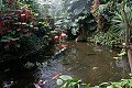 the Flamingo pond...