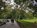 Central Park...